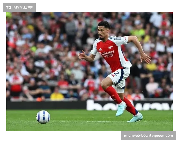 阿森纳迎战埃弗顿 萨利巴出球能力成进攻发起第一环